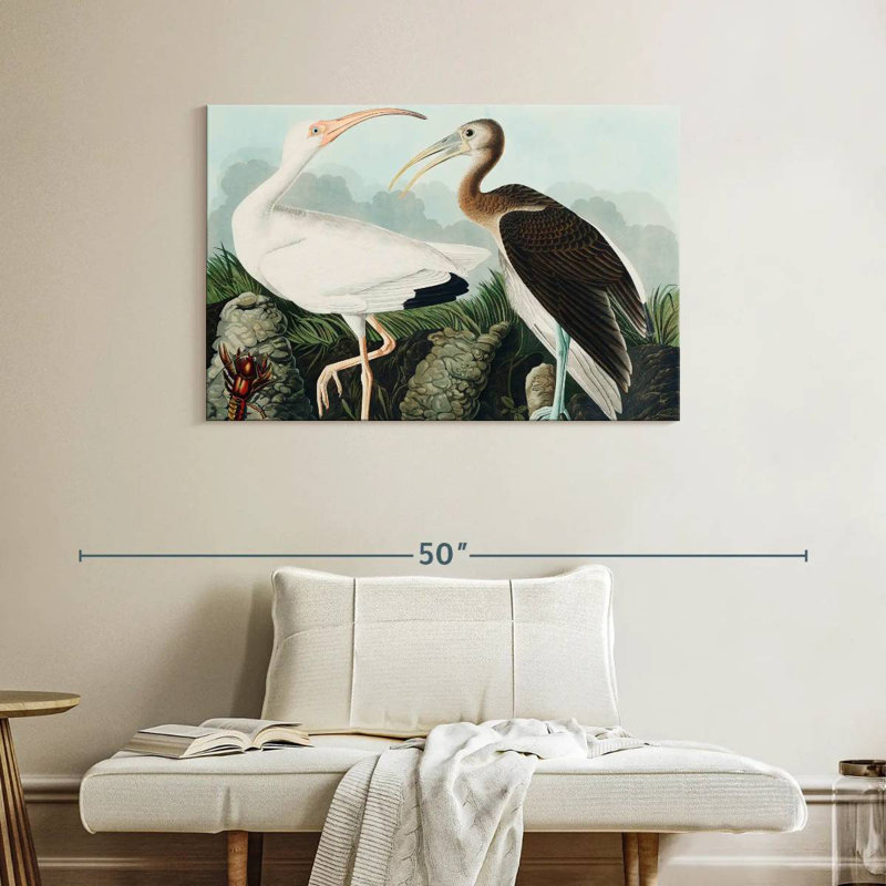 Brampt White Ibis, 26" H x 39" W