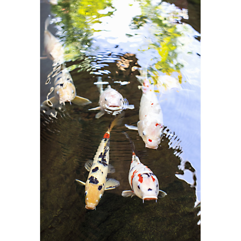 Libert? II Print by Karyn Millet, Image Brush, 45" H x 30" W x 1.5" D