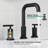 Widespread 2 Handles Bathroom Faucet with Water Supply Lines-1631516352-1613886757