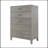 Etha Accent Chest