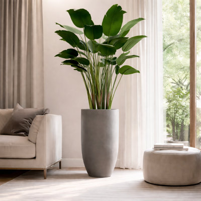 Travelers Palm Planter Insert (X-Large)
