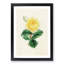 Illustration of a Yellow Rose - Picture Frame Painting Print-55579653-55579655
