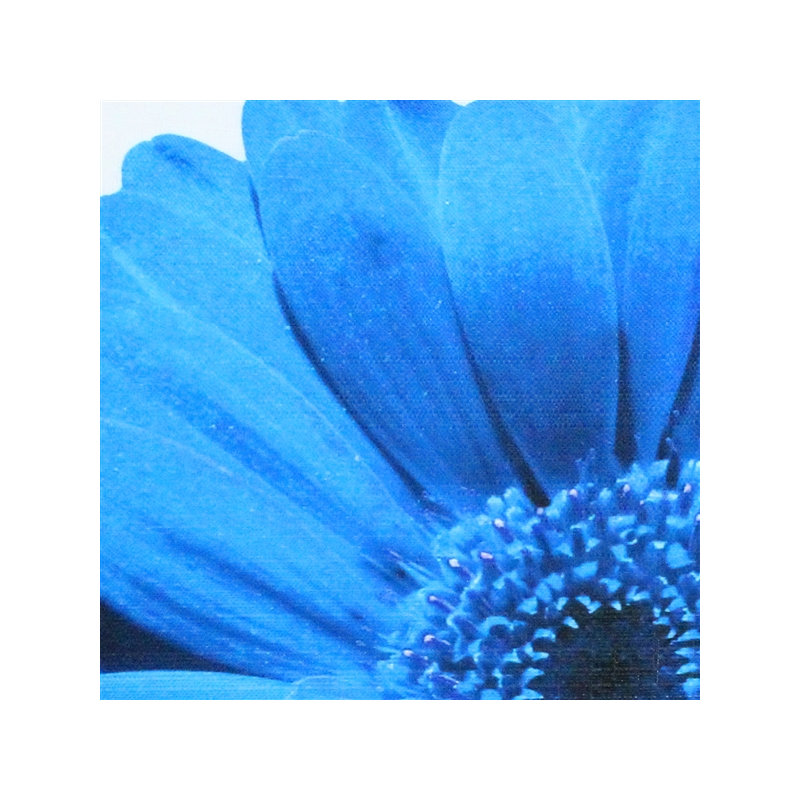 'Daisy Flower Indoor/Outdoor Throw Pillow, Blue