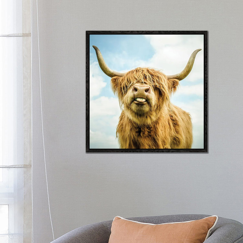 Highland Cow by Mark Gemmell - Print on Canvas, Black Framed, 66.04 cm H x 66.04 cm W