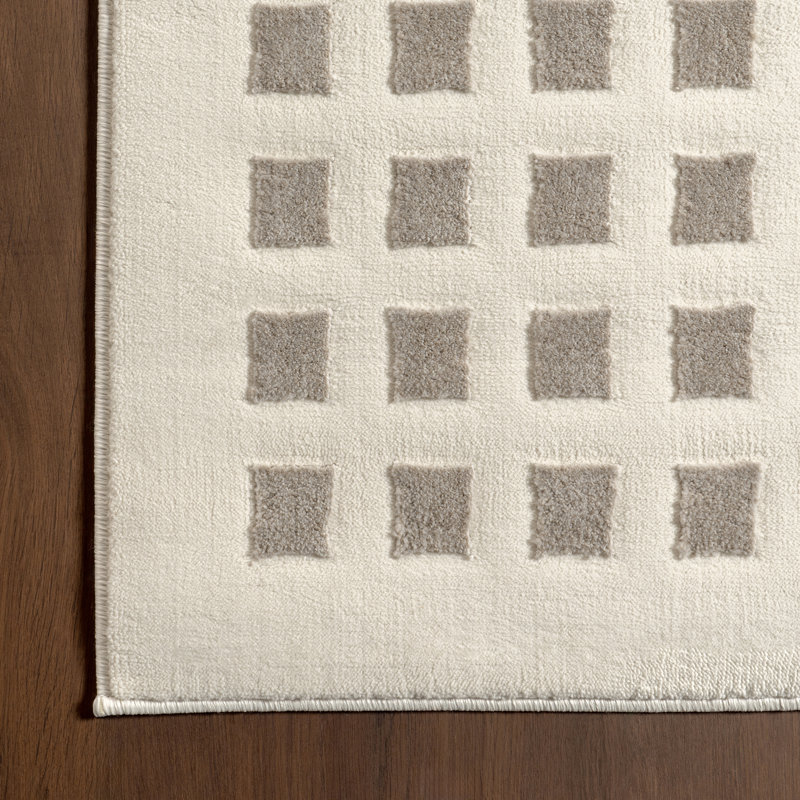Daleyza Checkered Machine Washable Area Rug, Rectangle 8' x 10'