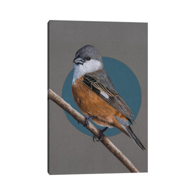 " Marsh Seedeater " by Mikhail Vedernikov