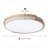Acrylic LED Flush Mount-1520321321