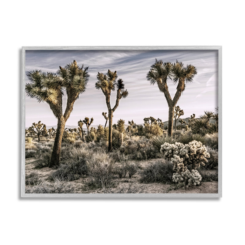 Désert cactus par Rachel Perry, Estampe numérique Farmhouse, H 24 po x l 30 po x P 1,5 po