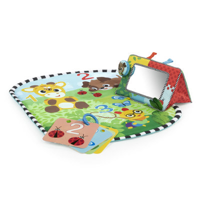 Tapis et miroir Discovery Garden Tummy Time