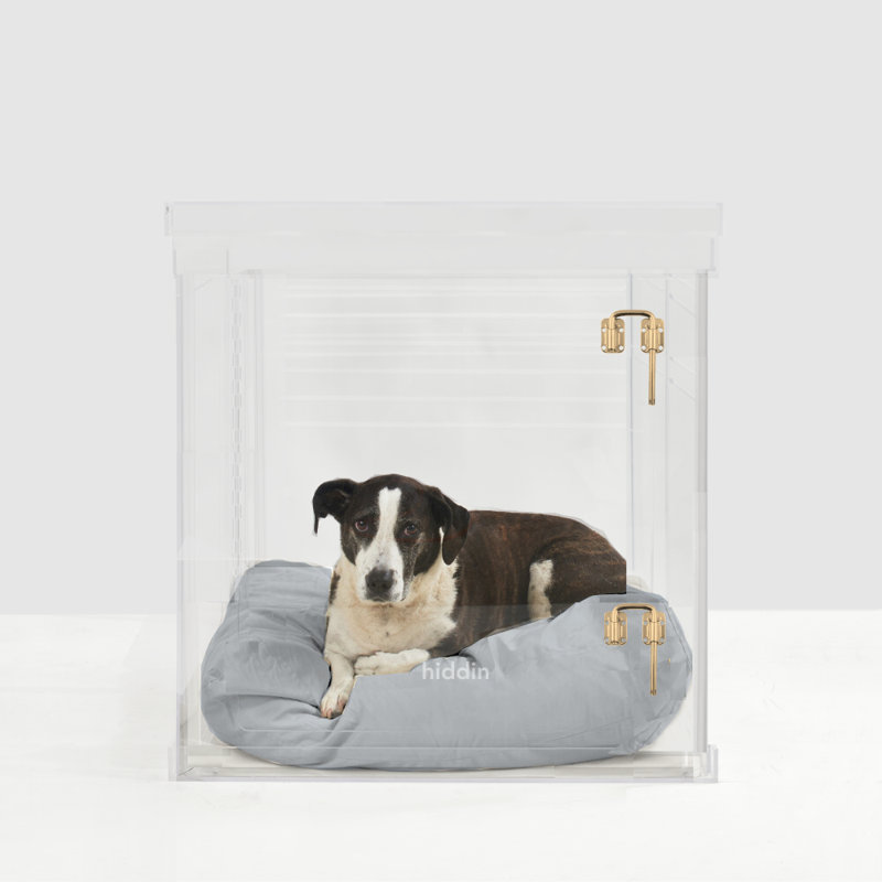 Medium Clear View Pet Crate with Silver Latch, Khaki Cushion, Charcoal, Gold, 22"H x 20"W x 30"D