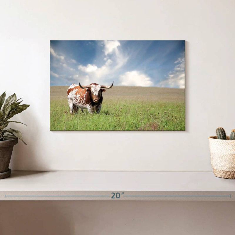 Oklahoman Texas Longhorn, H 8 po x l 12 po