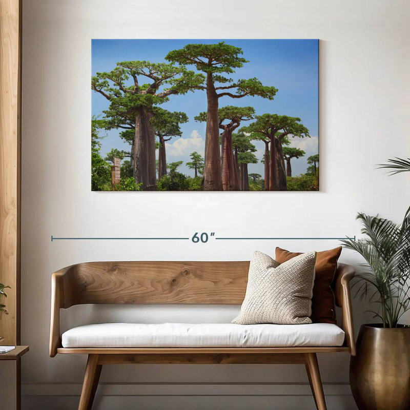 Réserve Harnek Baobab, H 30 po x l 45 po