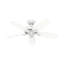 Ventilateur de plafond standard à 5 pales 42 po avec chaîne de traction et ensemble d'éclairage inclus Builder-56397229