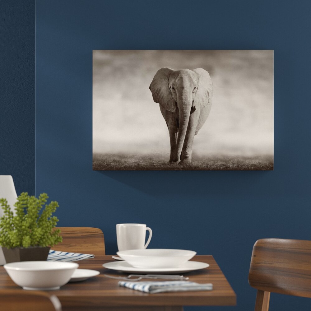 Leinwandbild ,,Einsamer Elefant", Fotodruck