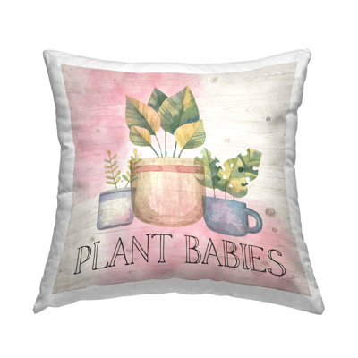 Coussin Plant