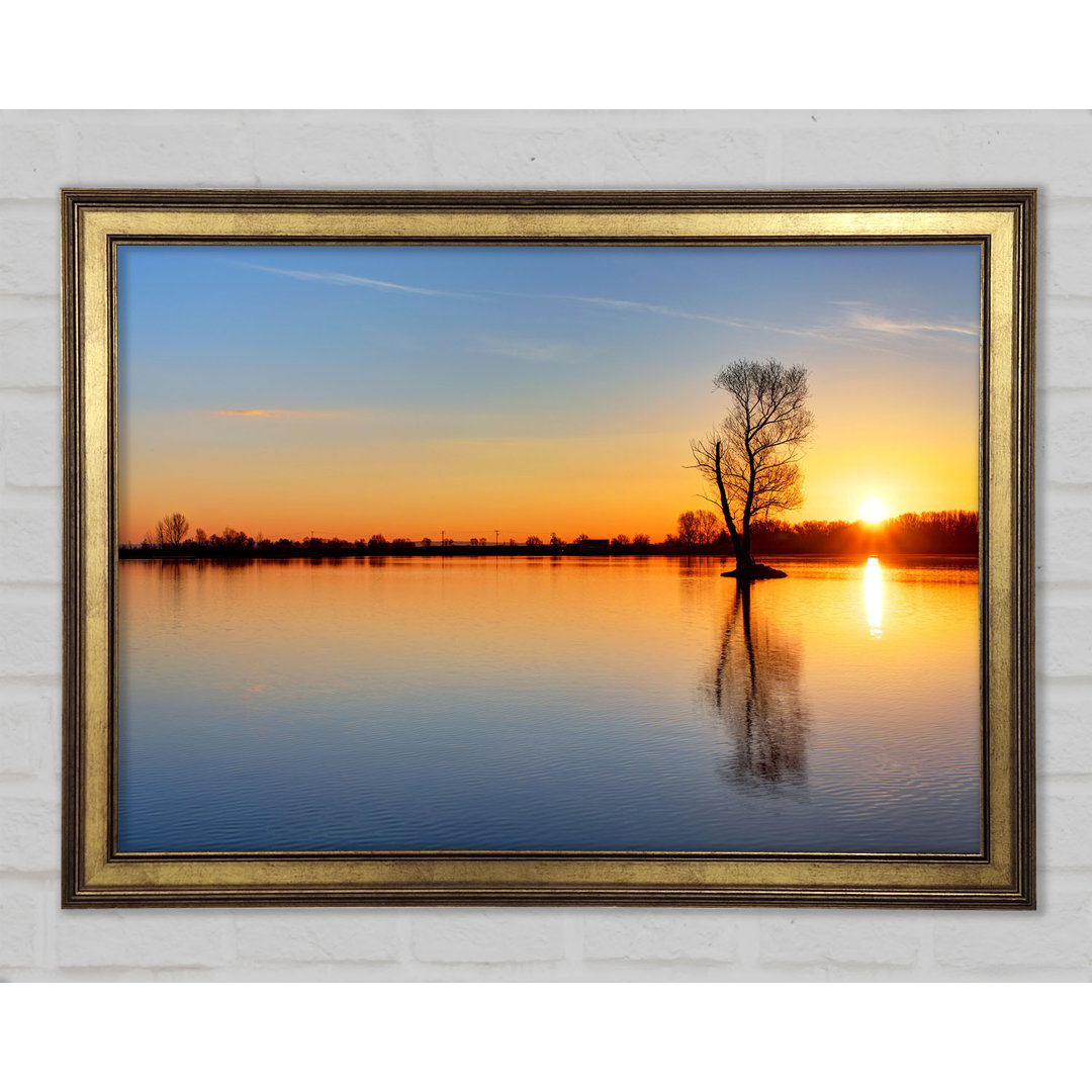 Gerahmter Fotodruck Sunset Above The Trees River