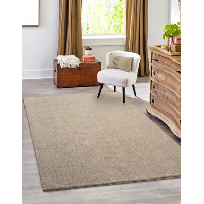 Pallvi Solid Colour Machine -made Area Rug