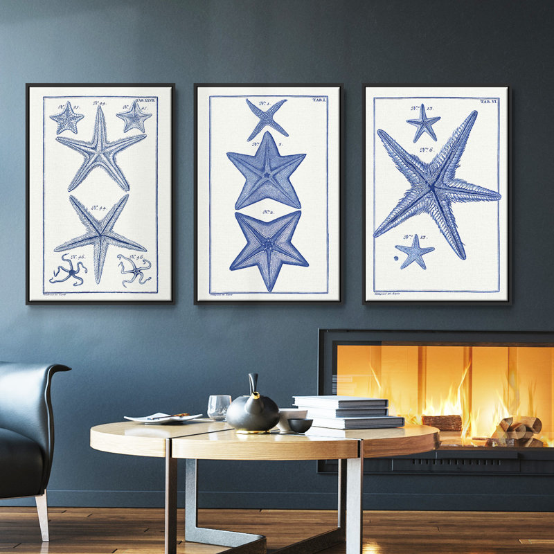 Blue Sea Stars I - ensemble de 3 reproductions de photos sur toile, Noir, H 27 po x l 54 po
