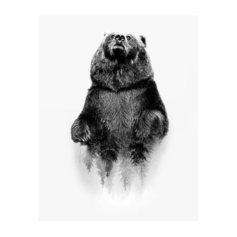 Bear Abstract Scandi - Single Picture Frame Print, 136.652 cm H x 111.252 cm W, Bevelled Wood Effect