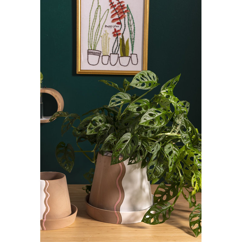 Hanvitha Handmade Ceramic Pot Planter, 8.5" H x 10.25" W x 10.25" D