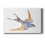 Impression sur toile tendue «Jewellé Barn Swallow I»-1563562857