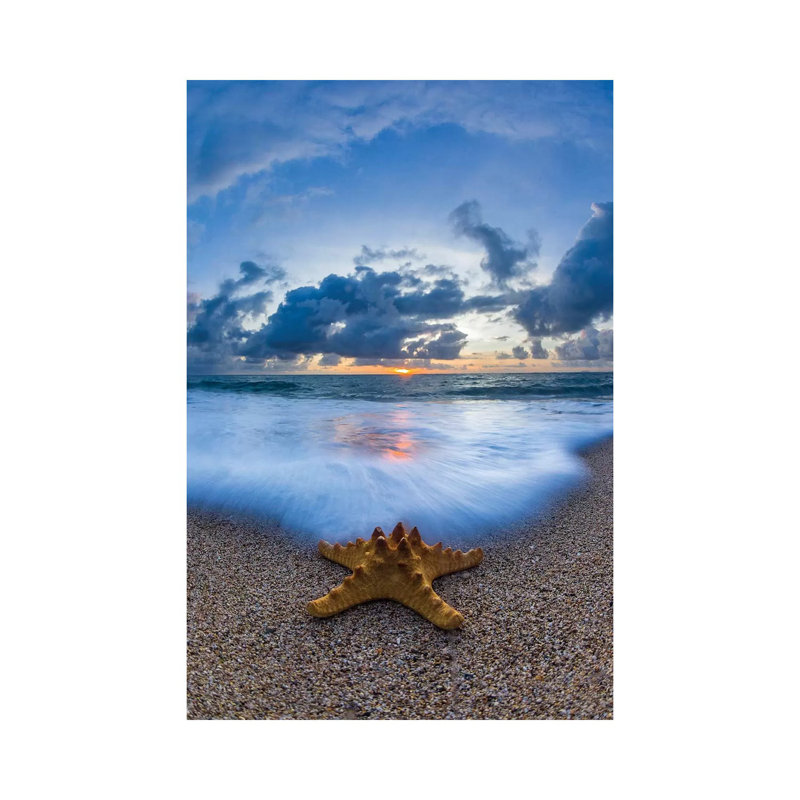 Starfish Sea Foam 1 Piece Wall Art on Canvas, 66.04cm H x 45.72cm W x 3.81cm D, Wrapped Canvas
