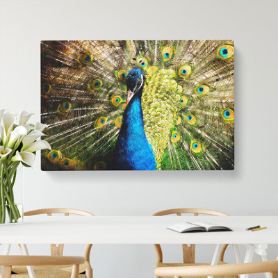 Peacock Vol.2 - Wrapped Canvas