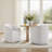 Concorde Caster Dining Chair-110870320