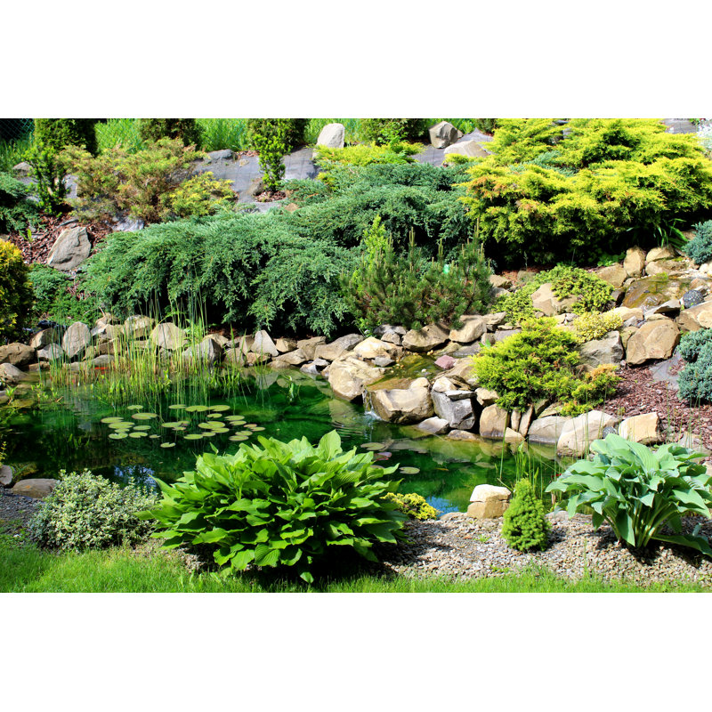 «A Small Pond» par Undefined - Photographie sur toile tendue, L 12 po x H 8 po