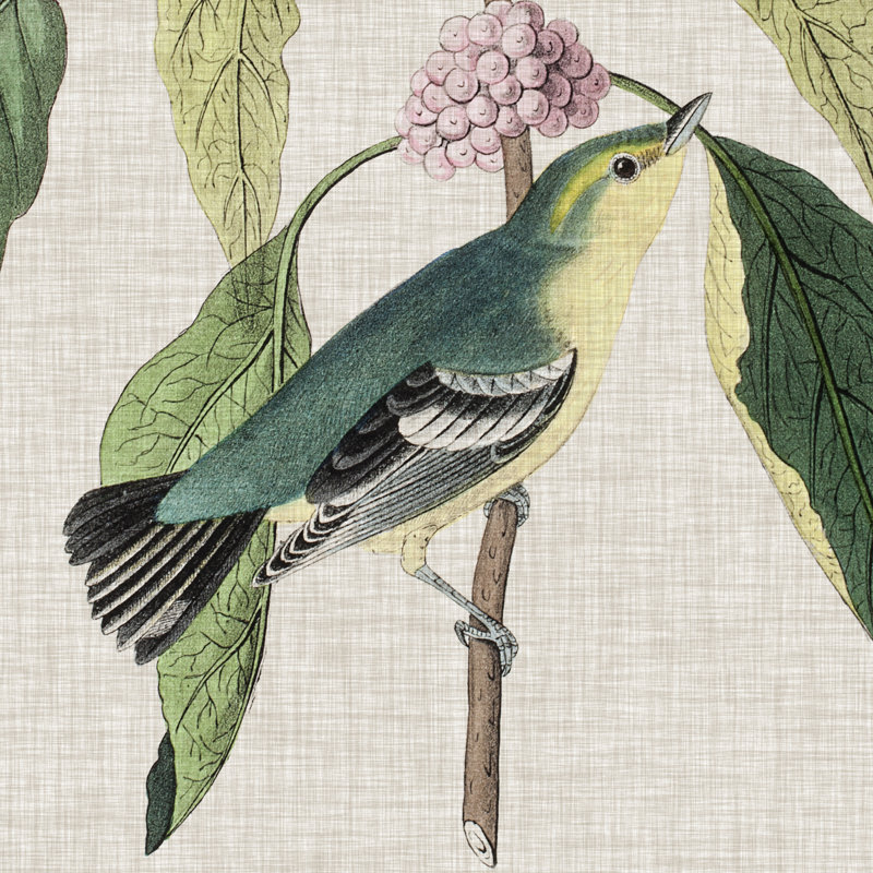 Avian Crop IV by John Audubon - Wrapped Canvas Painting, 30cm H x 30cm W x 3.8cm D