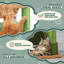 Arbre à chat H 33 "avec lit plateforme Ethe, perchoir supérieur, grotte pour chat et poteau à griffer pour chat Ethe