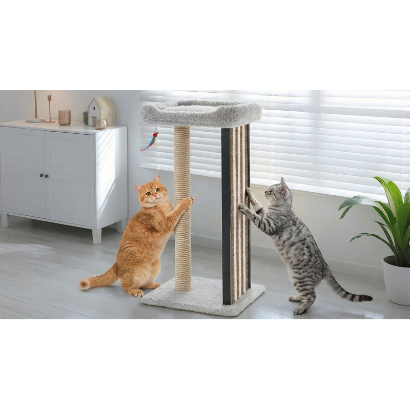 Grattoir 35 pouces pour chat adulte