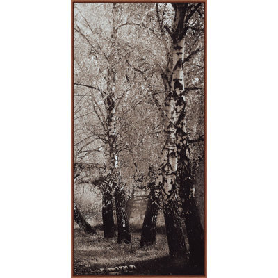 Chêne chemin triptyque C