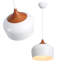 Luminaire suspendu moderne dôme blanc 11,8 pouces
