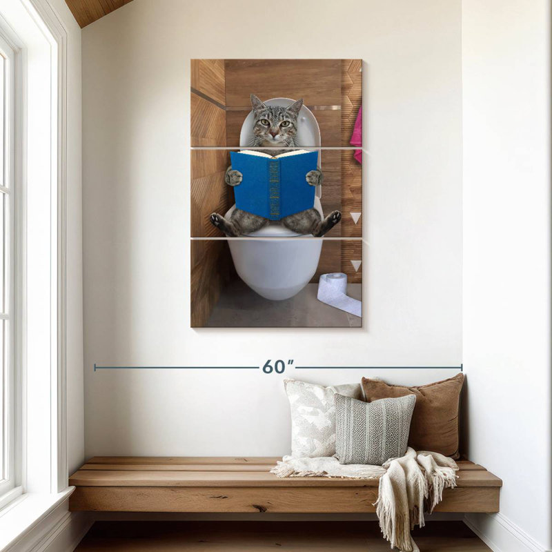 Toilette pour chat Ketti Tabby, H 45 po x l 28 po