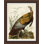 Audubon's Turkey Painting