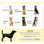 Lit pour animal de compagnie, lit pour chien portatif surélevé-131247865