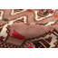 Tapis brun clair / rouge en laine noué à la main