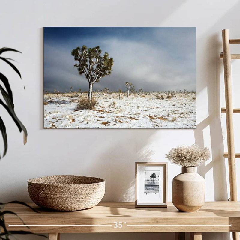 Harnek Snowy Mojave Desert, H 16 po x l 24 po