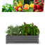 Raised Garden Bed