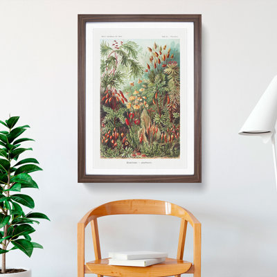 Flowers Growing Wild by Ernst Haeckel - Framed Print