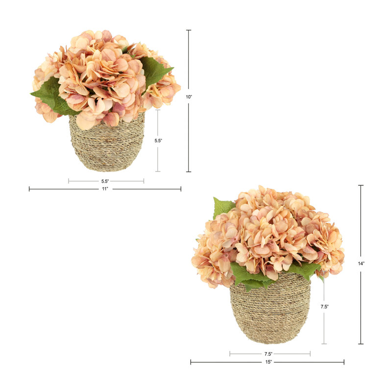 Arrangements floraux d'hortensias d'automne Carytown, Rose / Pêche