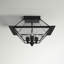 Boto 3 - Bulb Outdoor Flush Mount-23339318