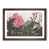 Walnut Framed selected