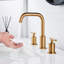 Timed Flow Tap with Waste-29267387