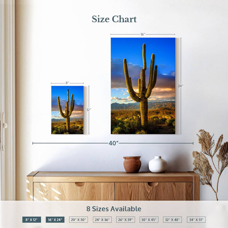 Parc national Harnek Saguaro Est III, H 12 po x l 8 po