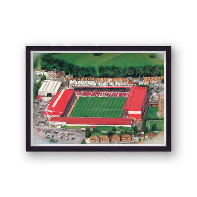 Bristol City FC - Ashton Gate - Football Stadium Art - Vintage - Single Picture Frame Print