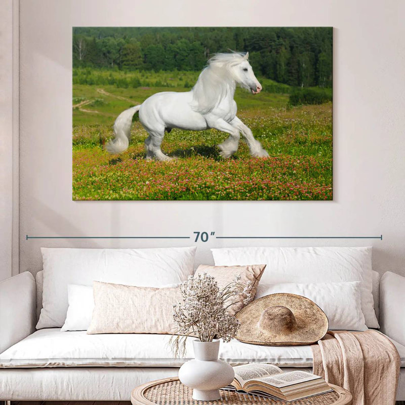 Shire à cheval dans la prairie