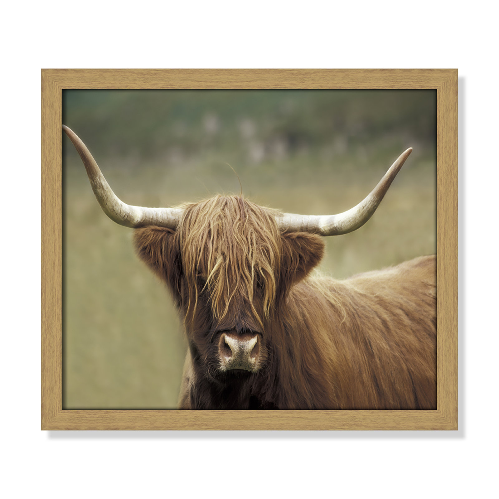 Frederic "Highland Afternoon" Print, 13" H x 15" W x 0.75" D, Natural Wood Grain Framed