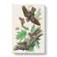Whip Poor Will Birds Butterflies by John Audubon - Wrapped Canvas Painting-55305184